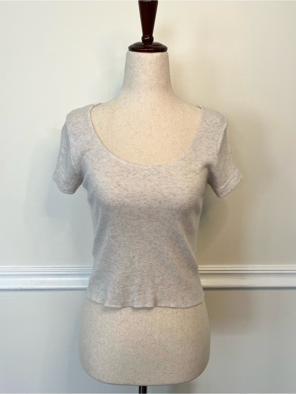 Brandy Melville Light Gray Scoop Neck Ribbed Crop Tee